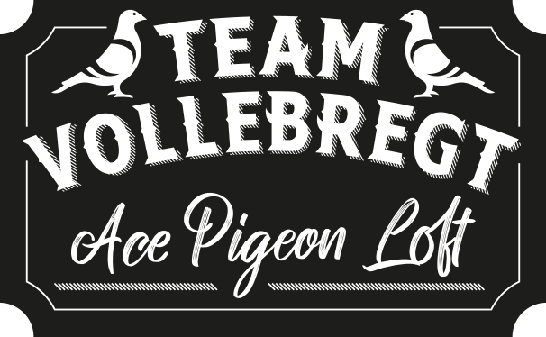 Team Vollebregt Logo